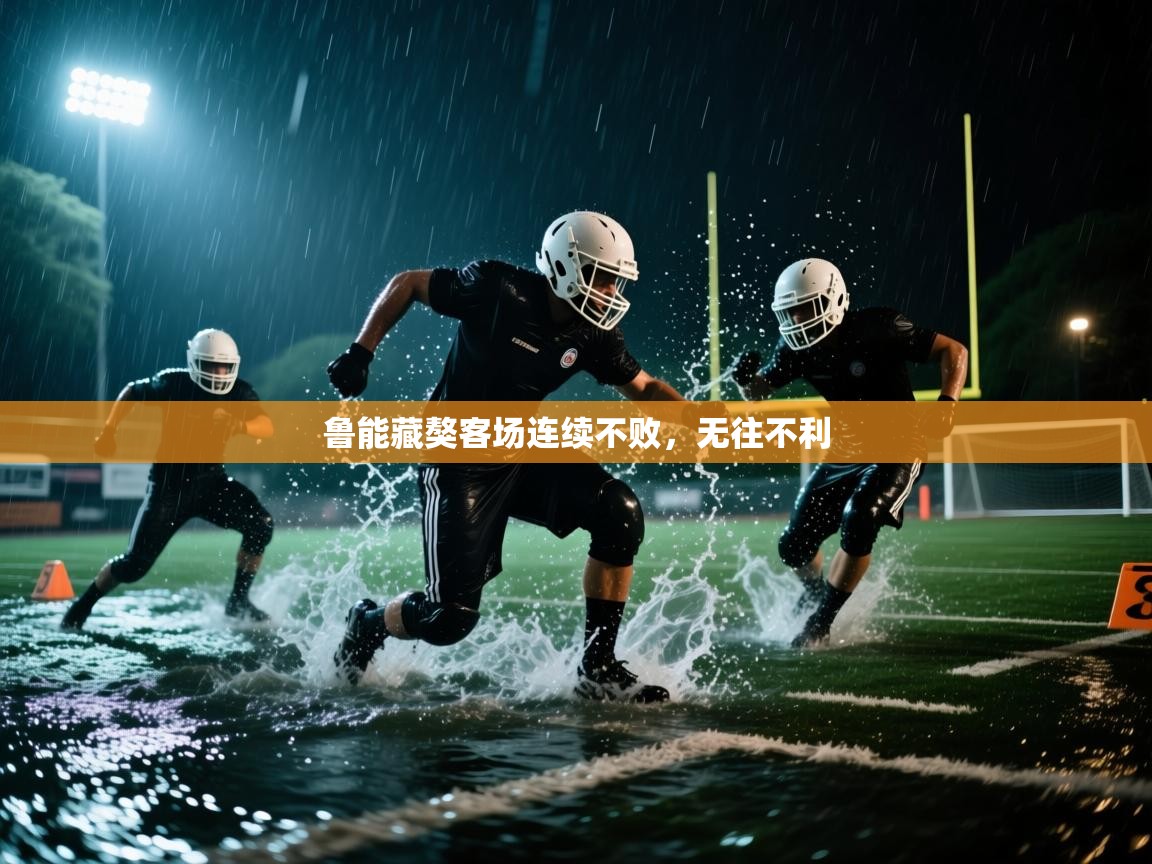 鲁能藏獒客场连续不败,无往不利 第2张