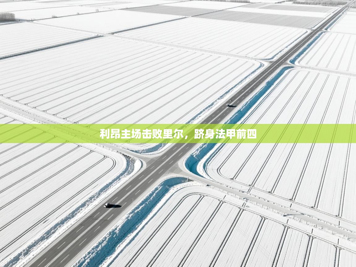 利昂主场击败里尔，跻身法甲前四