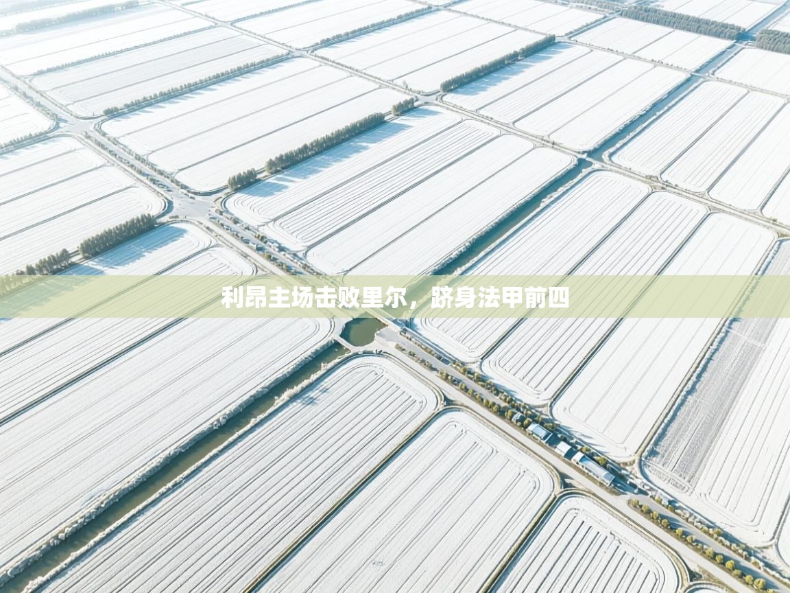 利昂主场击败里尔，跻身法甲前四  第2张